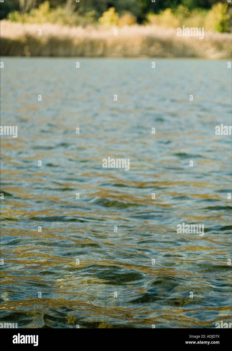 Wasserfläche, Bank im Hintergrund Stockfoto