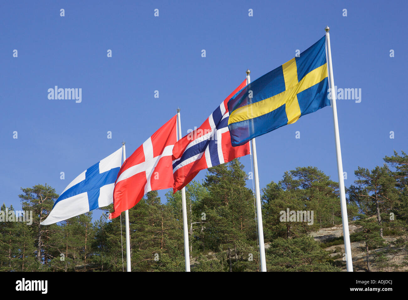 Alle skandinavischen Flaggen Stockfoto