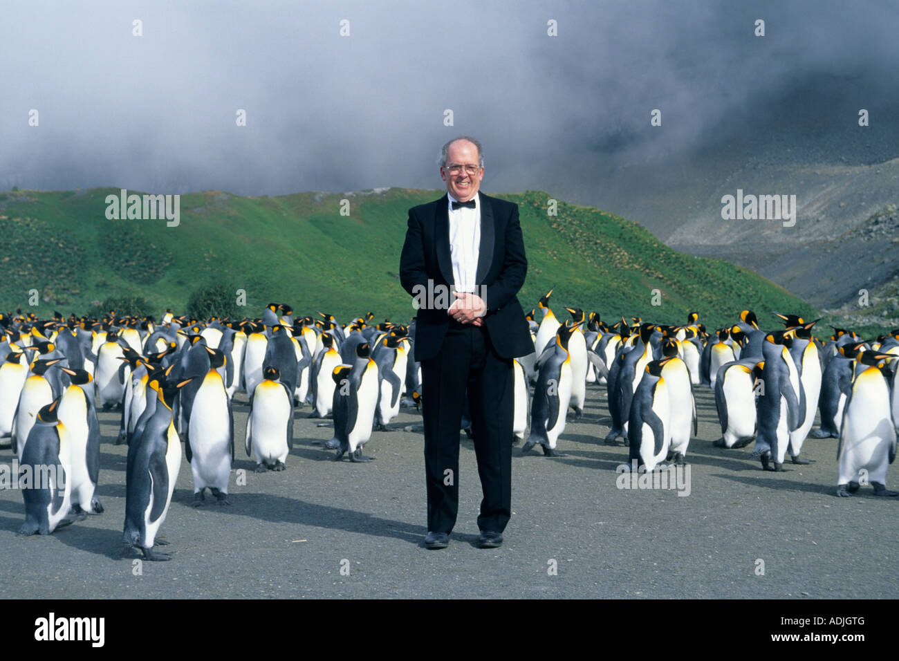 Eminent Wal Biologe Roger Payne verkleidet für die Königspinguine, South Georgia Island Stockfoto