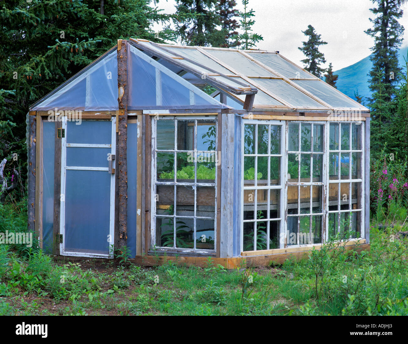 Gewächshaus Aus Alten Fenstern - lueduprep