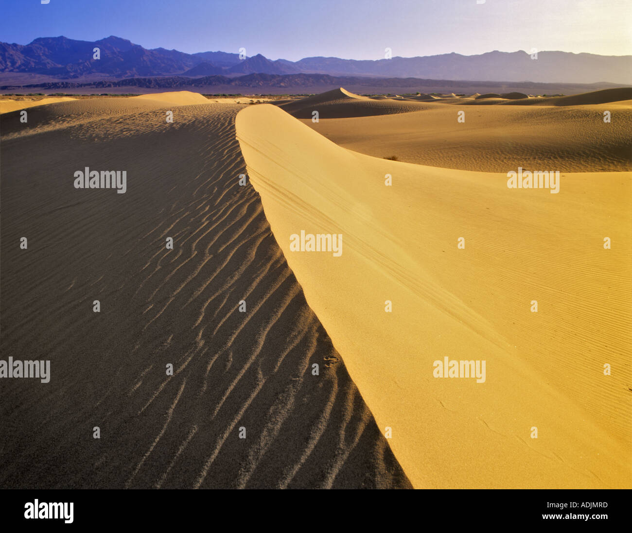 Messer eingefasst Sanddüne zeigt Ripple Muster Death Valley Nationalpark Kalifornien Stockfoto