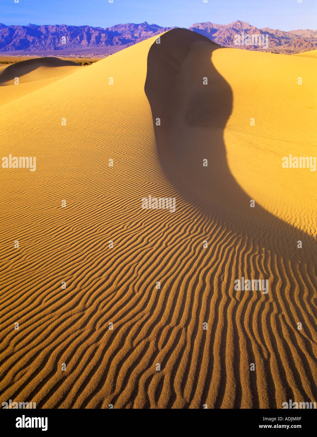 Langes Messer eingefasst Sanddünen Death Valley Nationalpark, Kalifornien Stockfoto