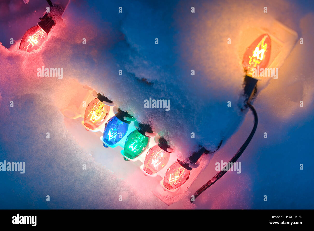 Ein Paket der große Weihnachtsbaum Multi farbige Lichter beleuchtet unter frische Decke aus Schnee Winter Alaska Stockfoto