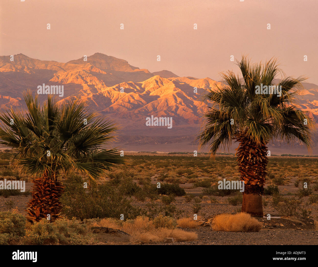 Sonnenuntergang mit Palmen und Beerdigung Berge Death Valley Nationalpark Kalifornien Stockfoto