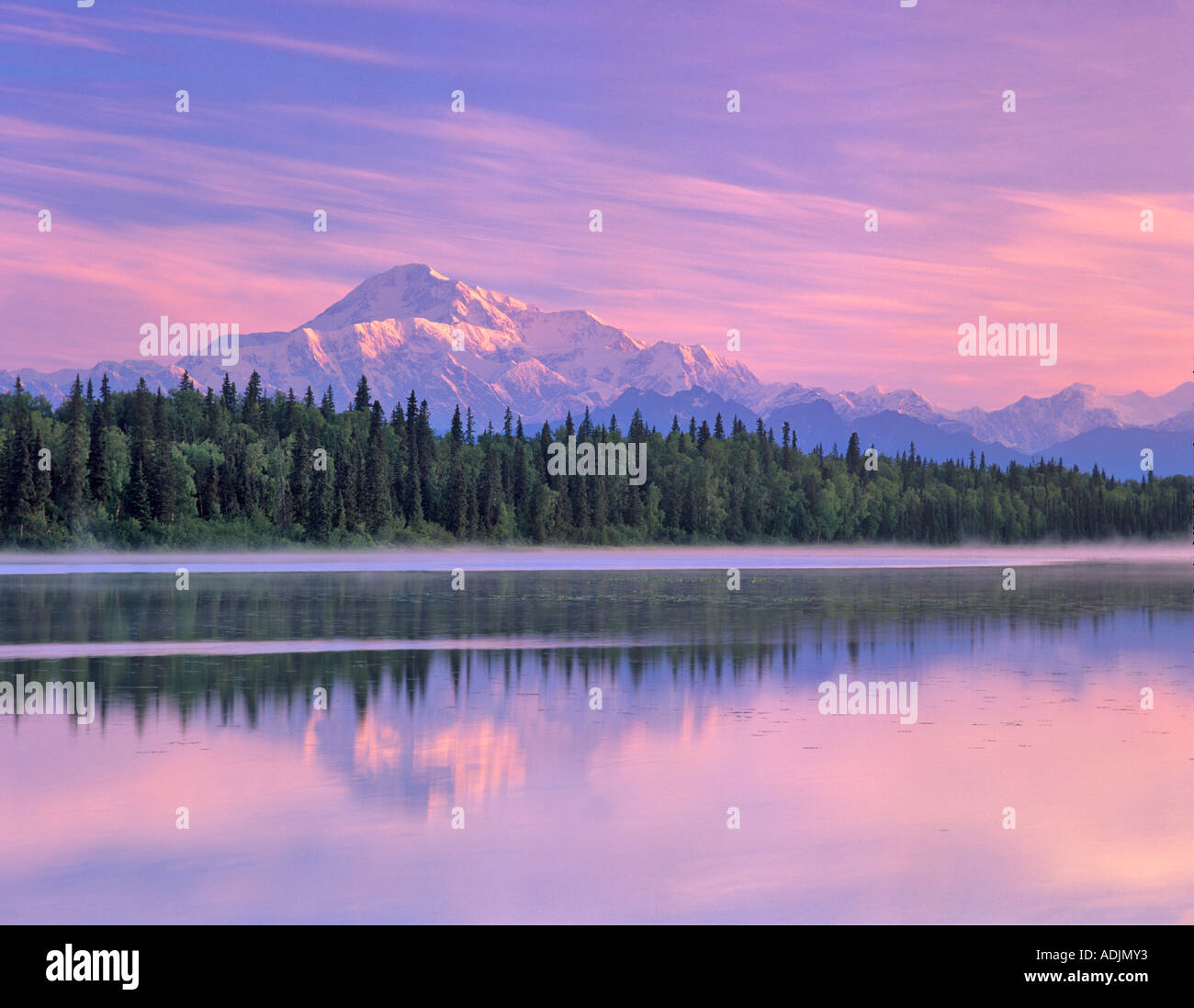 Mt McKinley spiegelt sich in kleinen Teich in der Nähe von Talkeetna Alaska Stockfoto