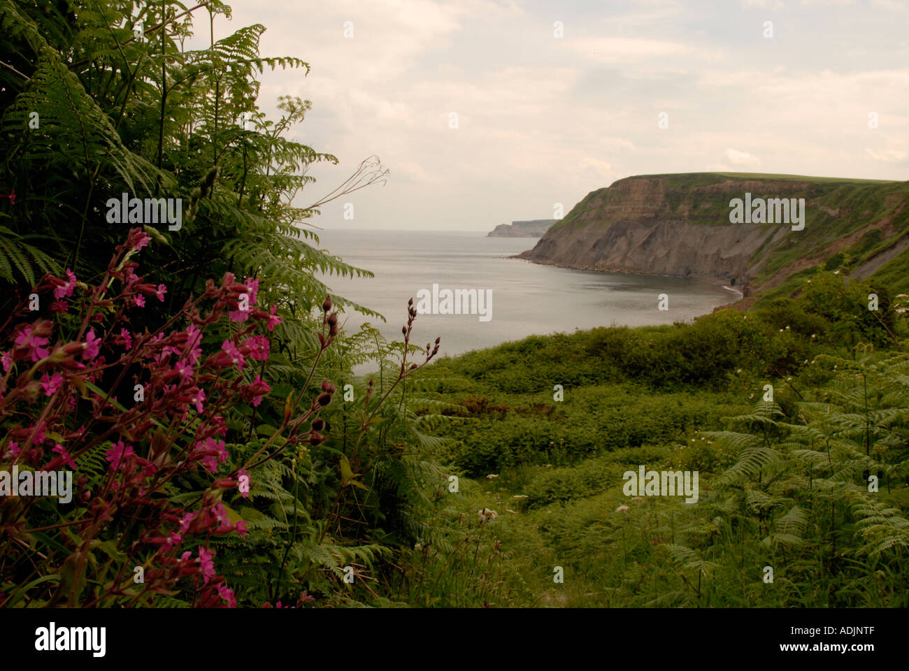 Yorkshire s Ostküste Stockfoto