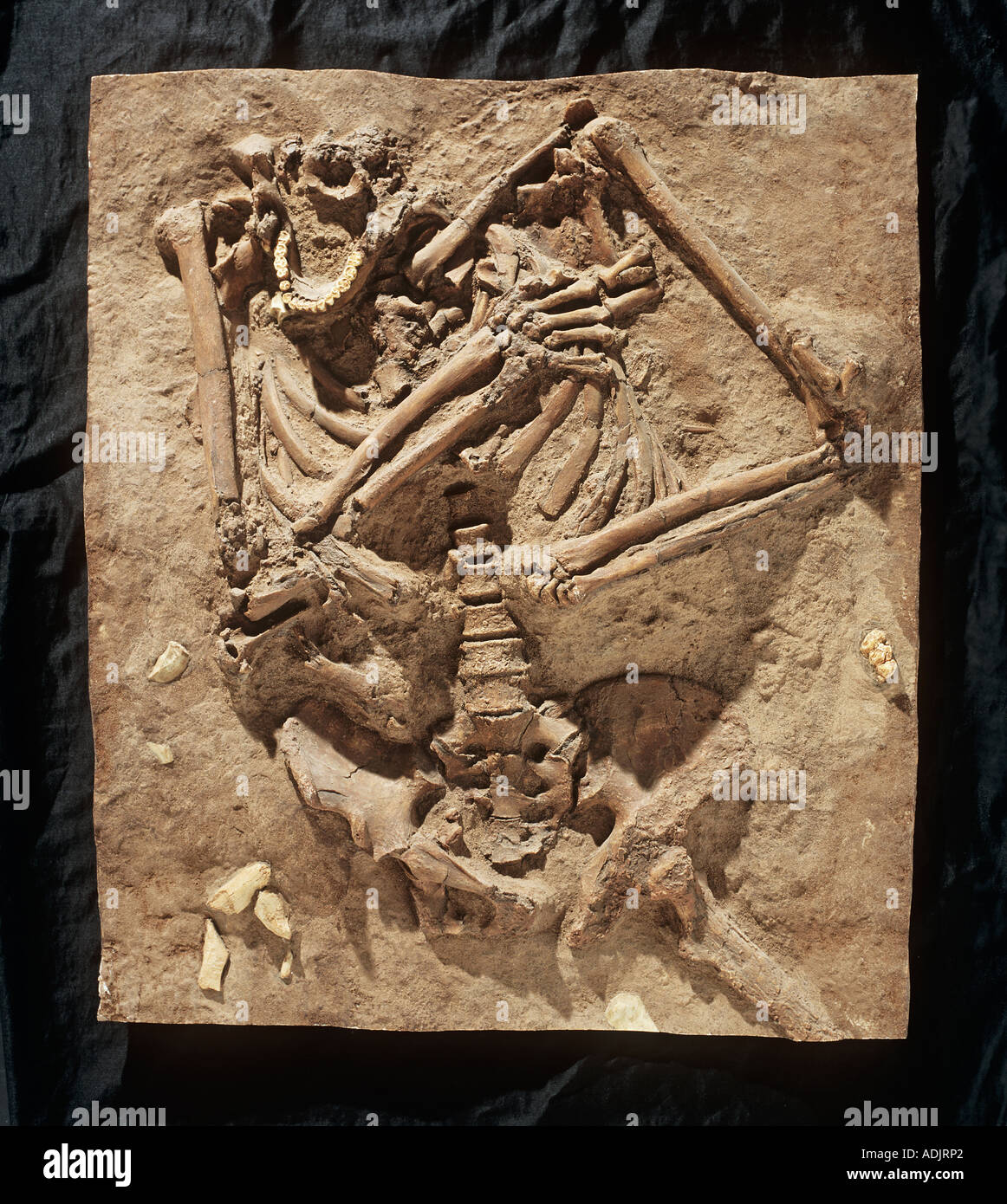 Homo Neanderthalensis Kebarah Gräberfeld Stockfoto