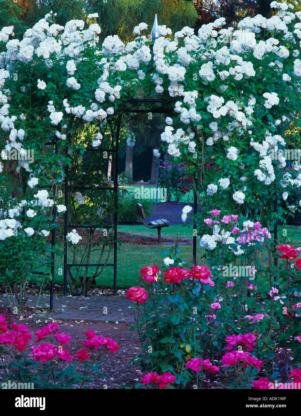 Rose Arbor International Rose Test Gardens Portland Oregon Stockfoto