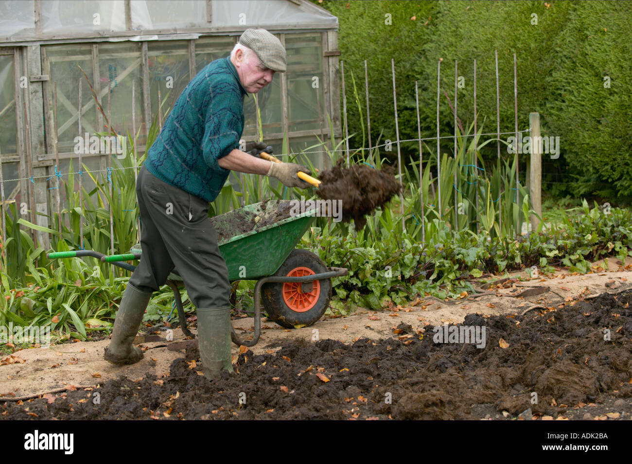 Gemüsegarten, gefüttert mit Gülle Stockfoto