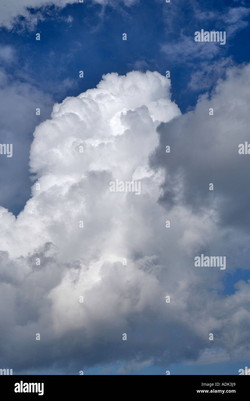 Luž Wolken über Sokol Blossor Weinberge Oregon Stockfoto