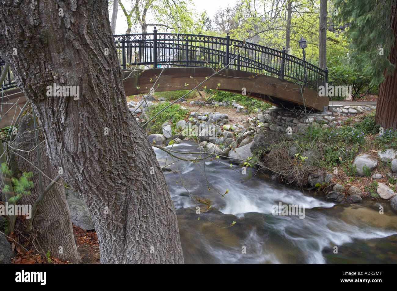 Brücke über den Bach in Lithia Park Ashland Oregon Stockfoto