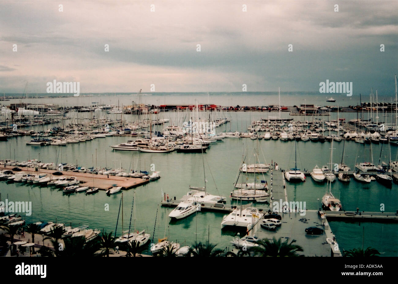 Badia de palma Fotos und Bildmaterial