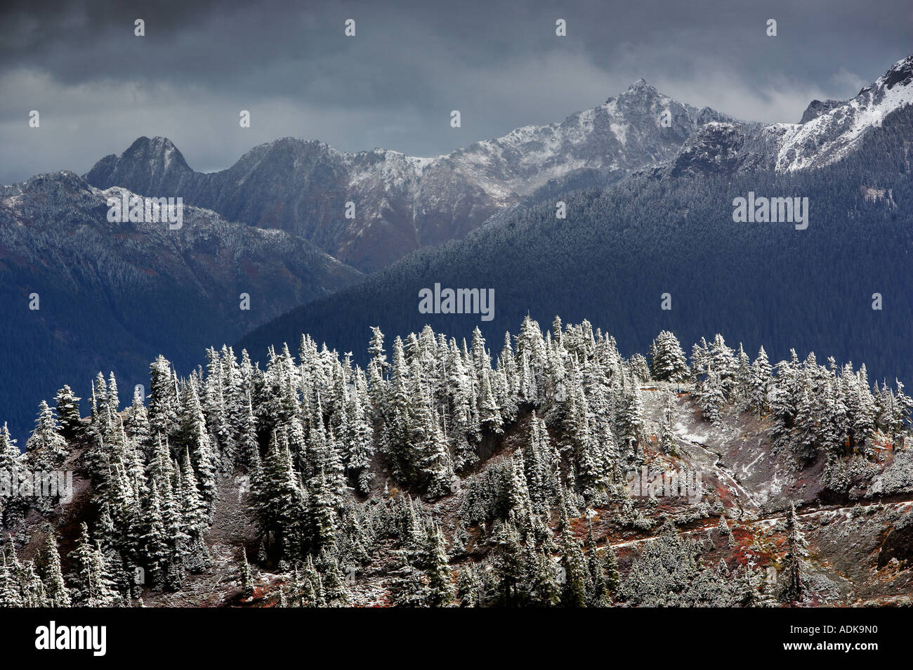 Nooksack Palette mit ersten Schnee der Saison Washington Stockfoto