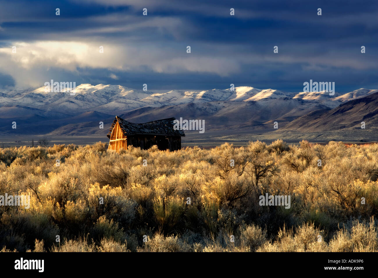 Sonnenaufgang am verlassenen Hütte und der Pueblo-Mountaions mit frischem Schnee Oregon Stockfoto