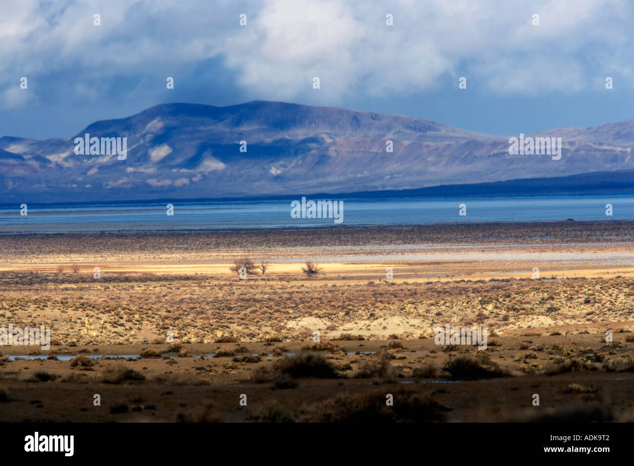 Einsame Bäume und Storm Black Rock Desert National Conservation Area Nevada Stockfoto