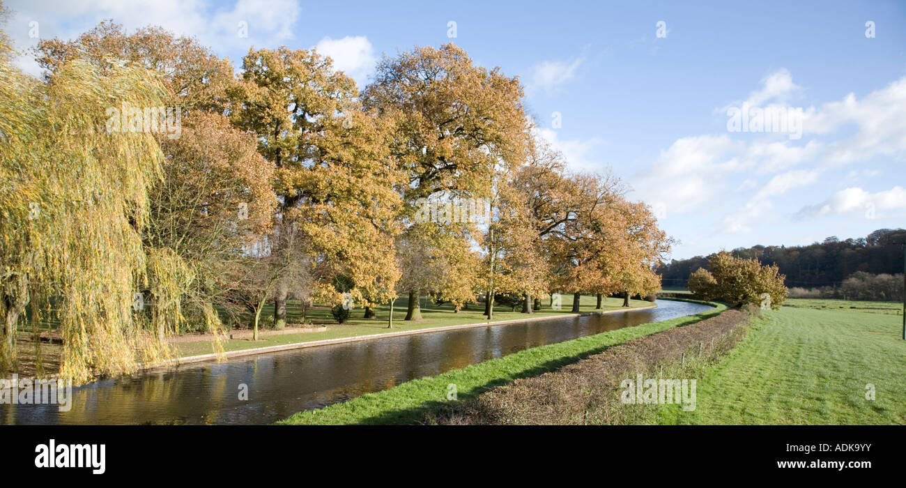 Eiche Bäume Herbst Farbe British Waterways Staffordshire und Worcestershire Kanal Tixall Staffordshire Stockfoto