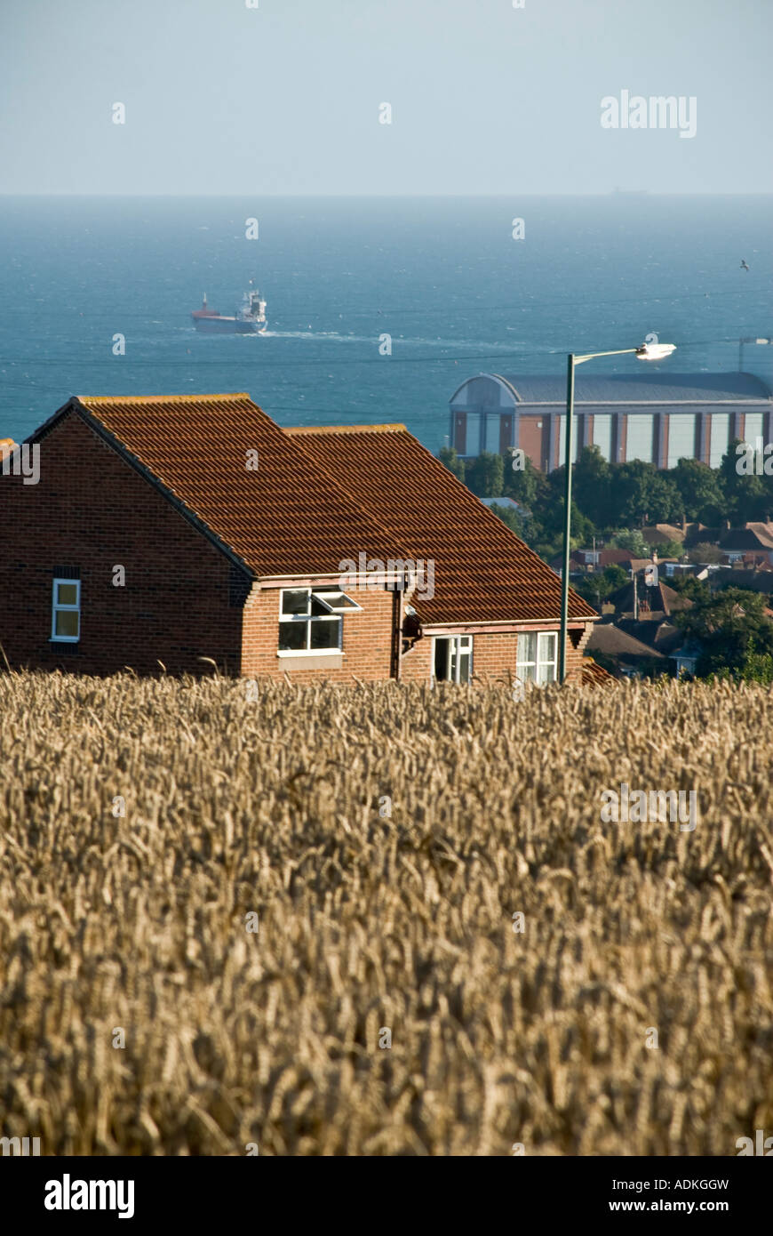 STADT-LAND-KORNFELD-MEER Stockfoto