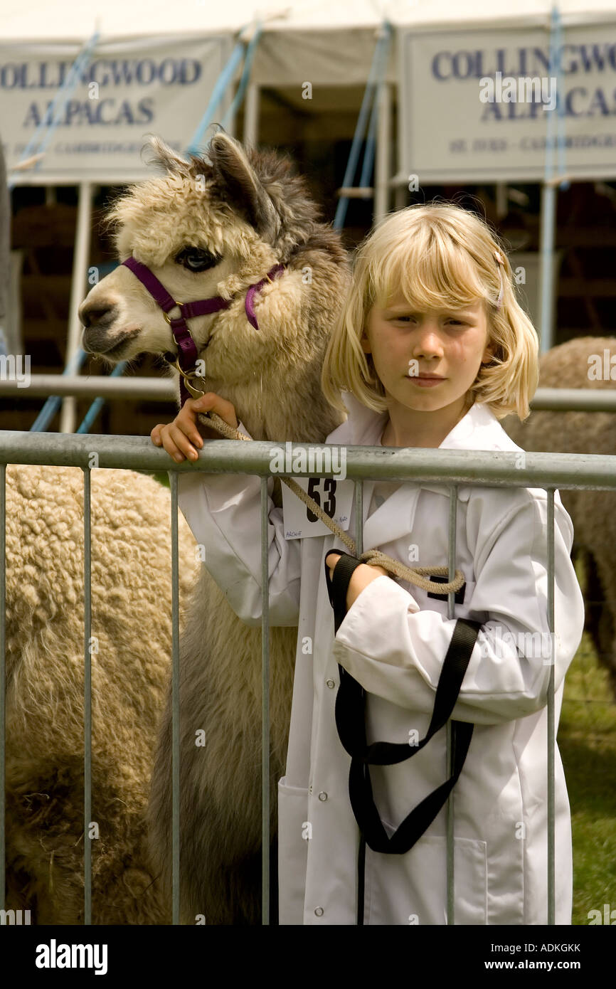 Ein Mädchen mit einem Alpaka auf der Royal Norfolk Agricultural Show Stockfoto