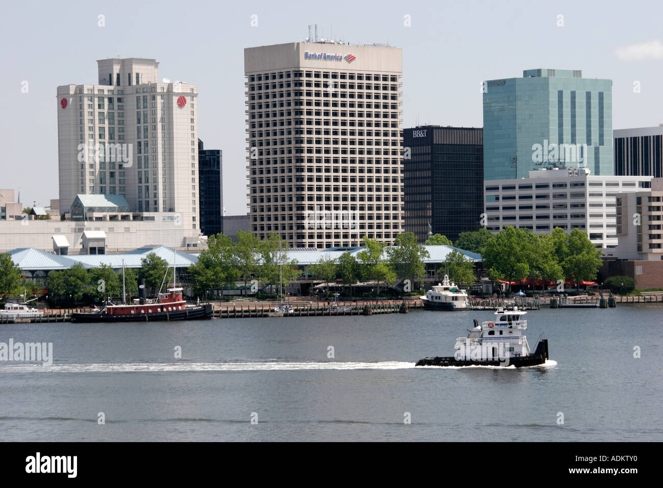 Norfolk Virginia, Elizabeth River Water Waterside Festival Marketplace, Skyline der Innenstadt, Stadtbild, Gebäude, Skyline der Stadt, Stadtbild, Besucher reisen Stockfoto