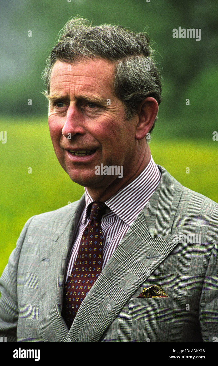 PRINZ CHARLES IN A WIESE VON WILDEN BLUMEN IN DER NÄHE VON OAKSEY WILTSHIRE UK 2. JUNI 1999 Stockfoto