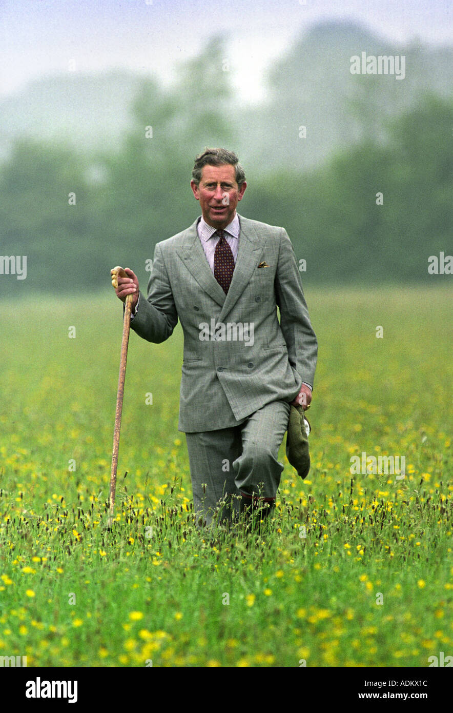 PRINZ CHARLES IN A WIESE VON WILDEN BLUMEN IN DER NÄHE VON OAKSEY WILTSHIRE UK 2. JUNI 1999 Stockfoto