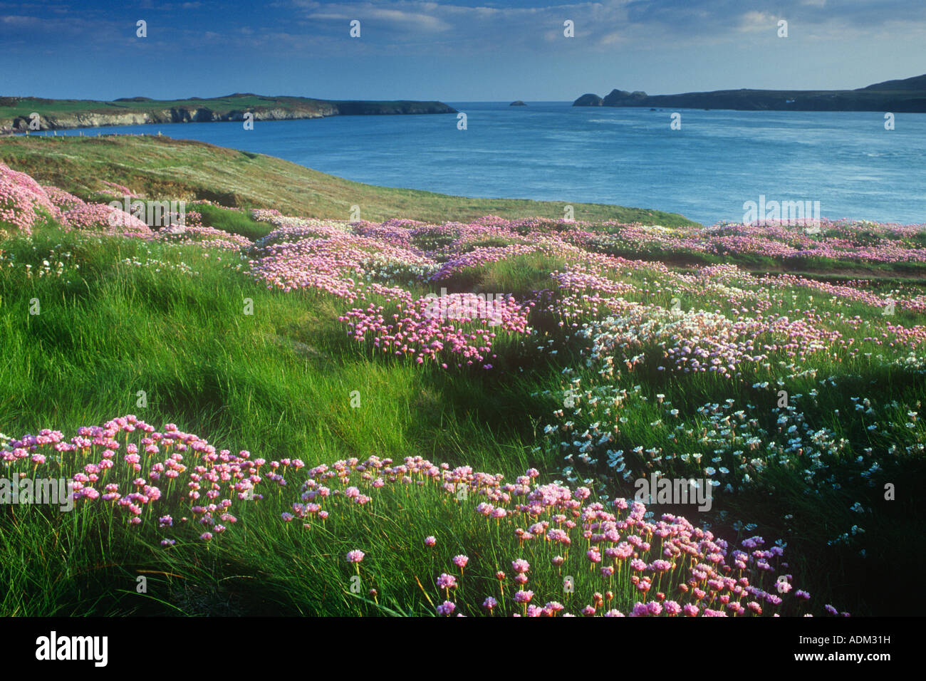 St Justinians Ramsey Sound Pembrokeshire Dyfed West Wales UK Stockfoto