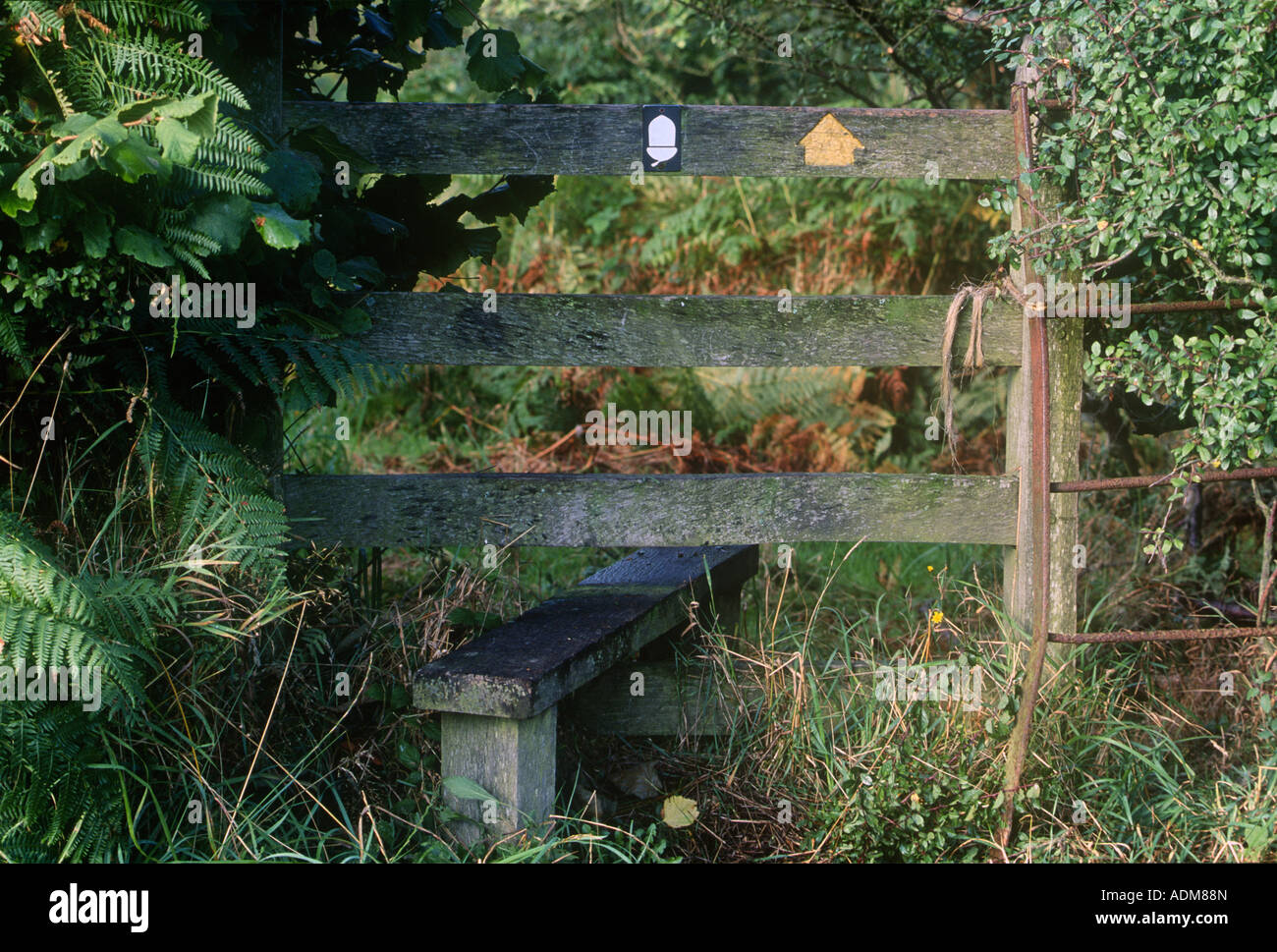 Zauntritt Offa s Dyke Path Knighton Stockfoto