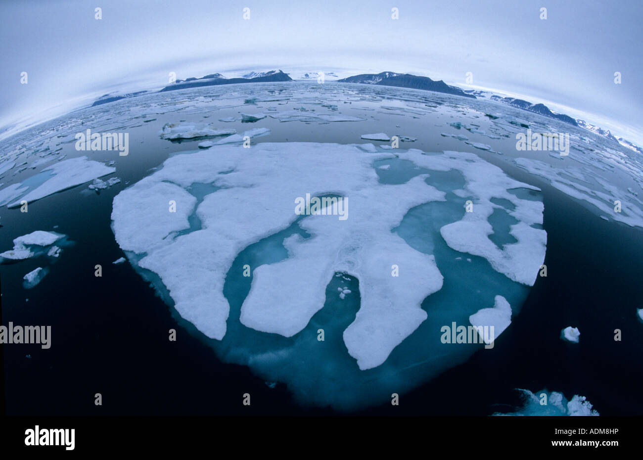 Norwegen, Spitzbergen, arktischen Packeis, Spitzbergen, Fisheye-Objektiv Stockfoto