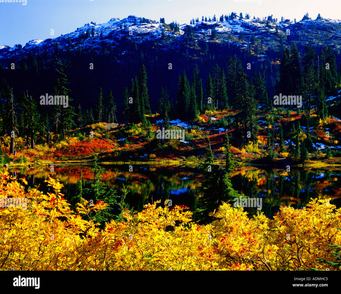 Rote und gelbe Blätter betonen die Herbst-Saison in einem kleinen Bergdorf Tarn in den Cascade Mountains des nördlichen Washington Stockfoto