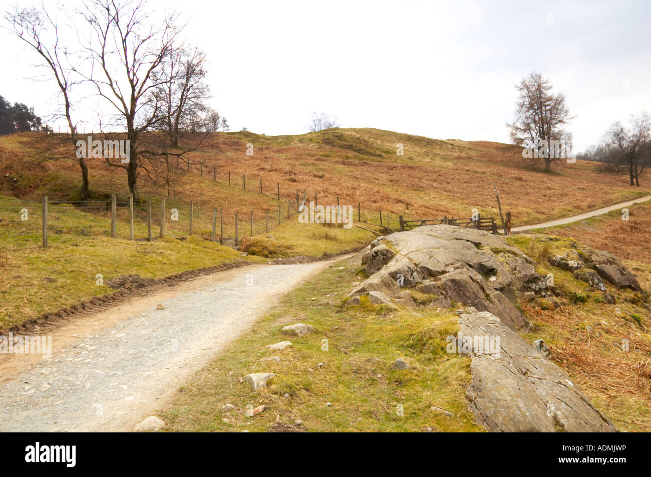 Tarn Hows, Cumbria Stockfoto