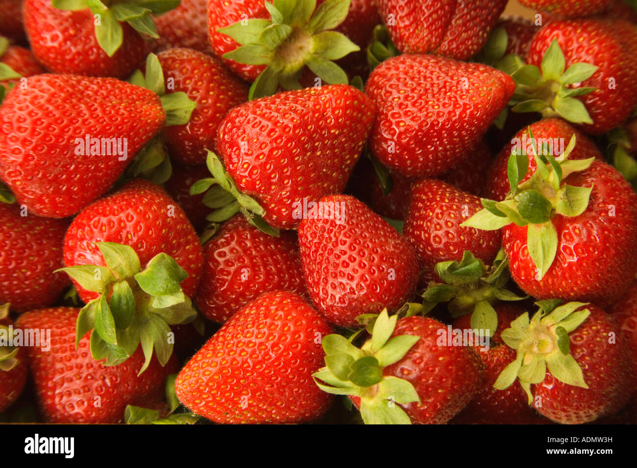 Geernteten Erdbeeren. Stockfoto