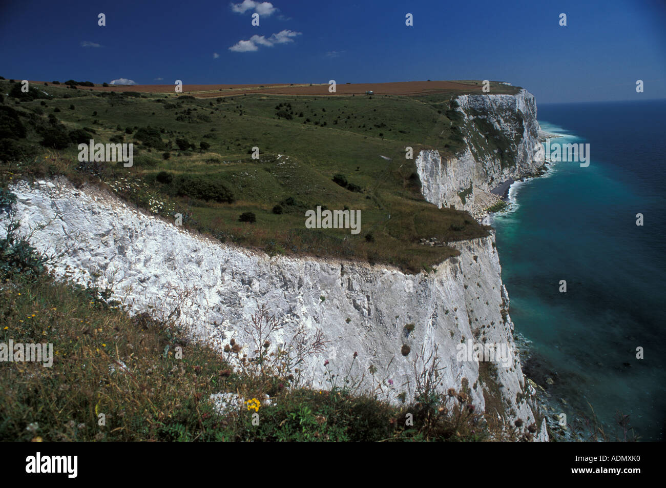 Die Spectaular White Cliffs of Dover mit Blick auf den Staights von Dover und Frankreich Kent England Europa Stockfoto