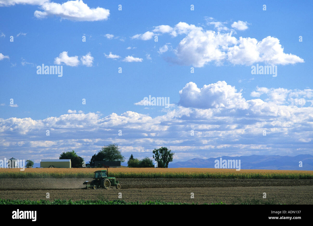 Feld im Canyon County Idaho Bodenbearbeitung Traktor Stockfoto