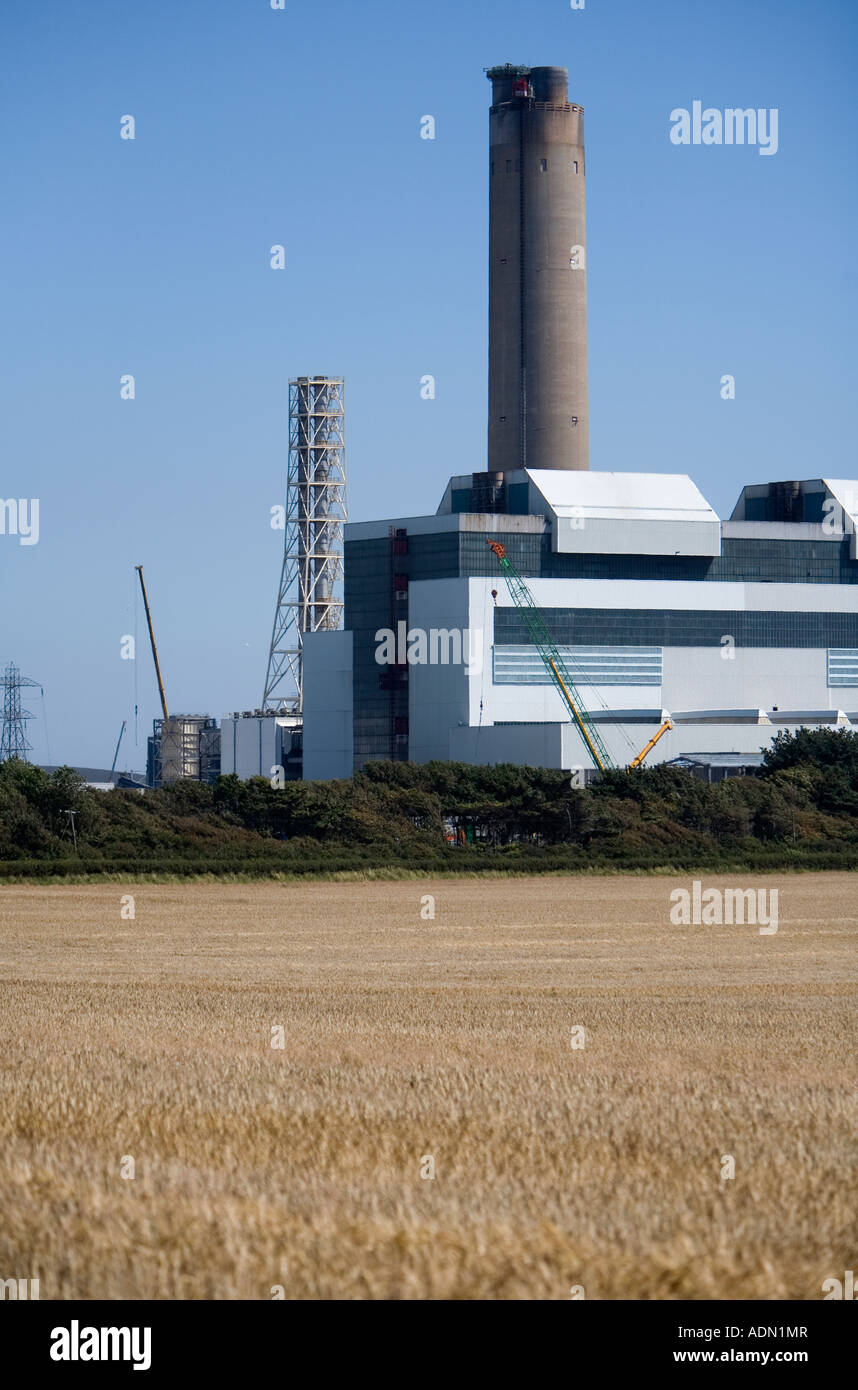 engen Blick auf ein Feld der Reifen Gerste mit einem Kraftwerk im Hintergrund vor einem strahlend blauen Himmel Stockfoto