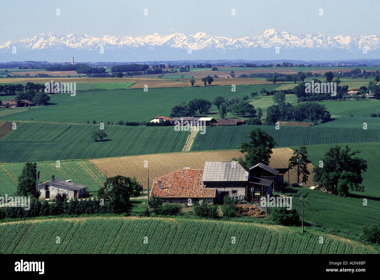 Frankreich, Südwesten. Herrlichen Blick auf alte Gascogne in Gers. Schnee-plattierten Pyrenäen im Hintergrund Stockfoto