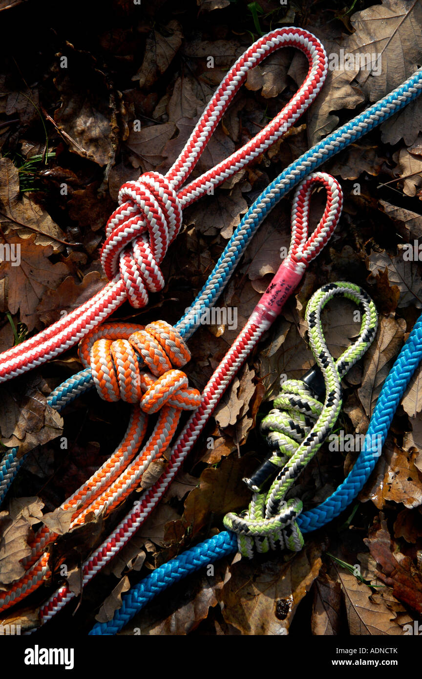 Baumklettern Wales einige Seile und Werkzeug für Baumklettern  Stockfotografie - Alamy