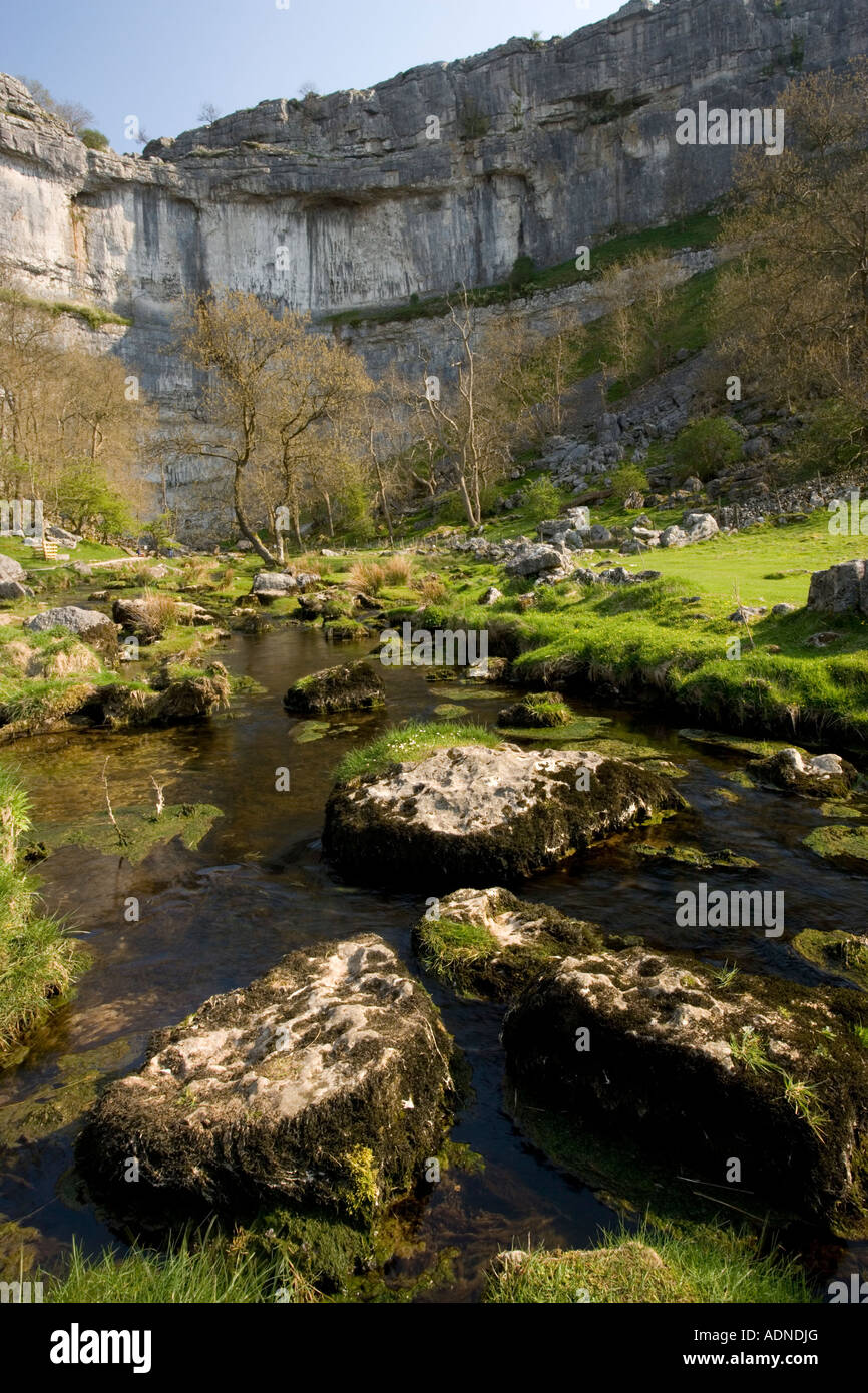 Malham Cove und der Fluss, der daraus entspringt; Spring Yorkshire Dales Stockfoto