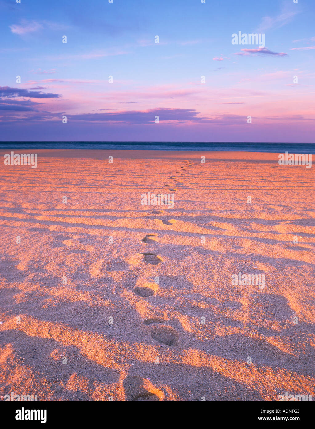 Fußspuren im Sand am Strand von Empuriabrava, Costa Brava, Katalonien, Nordspanien, Europa Stockfoto