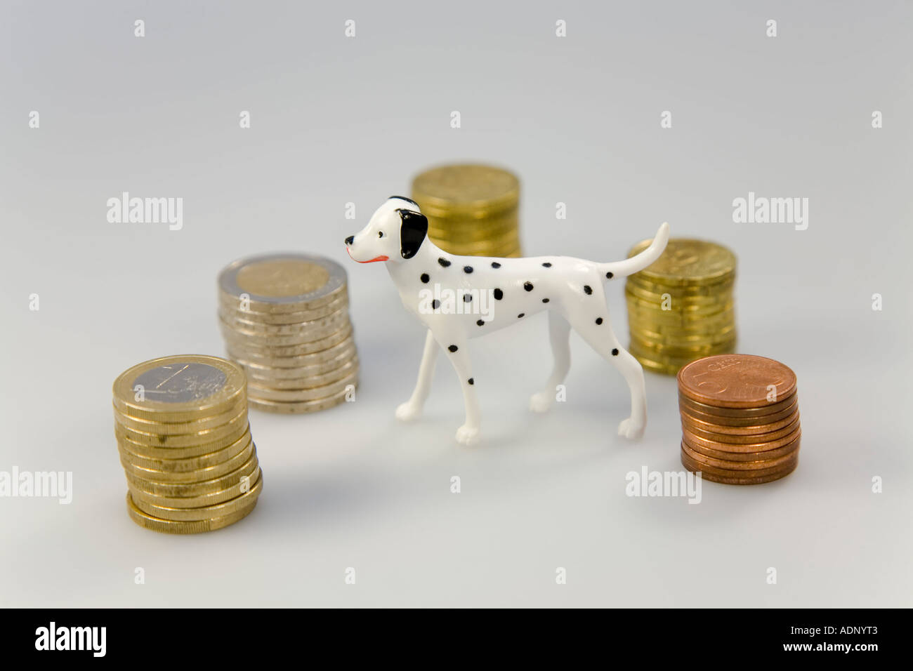 Symbolfoto - Kosten für Haustiere Stockfoto