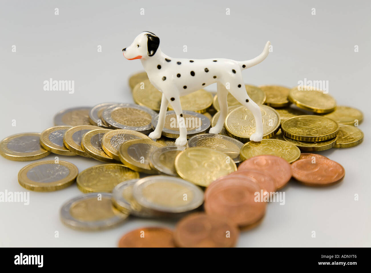 Symbolfoto - Kosten für Haustiere Stockfoto