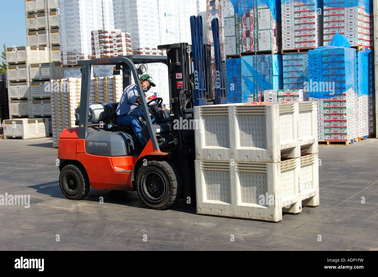 Gabelstapler in einer Verpackung, die Schuppen in der Nähe Reedley zentrale San Joaquin Valley Kalifornien USA Stockfoto