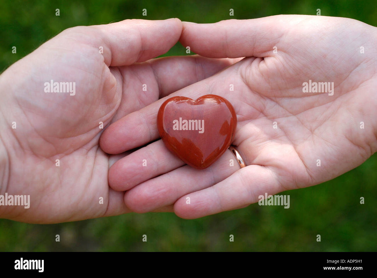 zwei Hände mit Herz Stockfoto