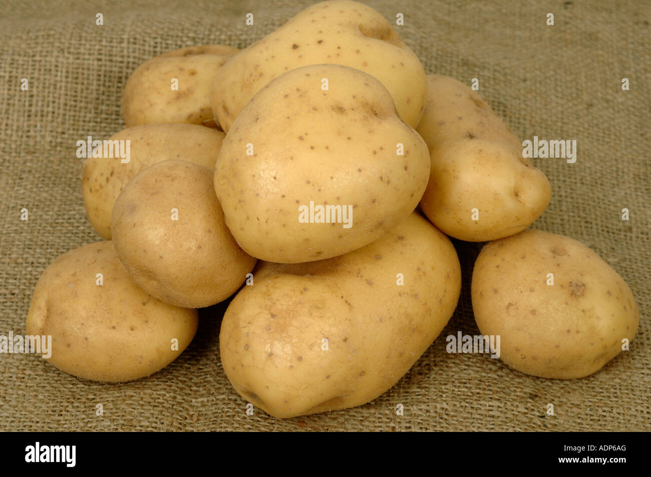 Knollen von Maris Piper Kartoffeln ab laden oder Supermarkt Stockfoto