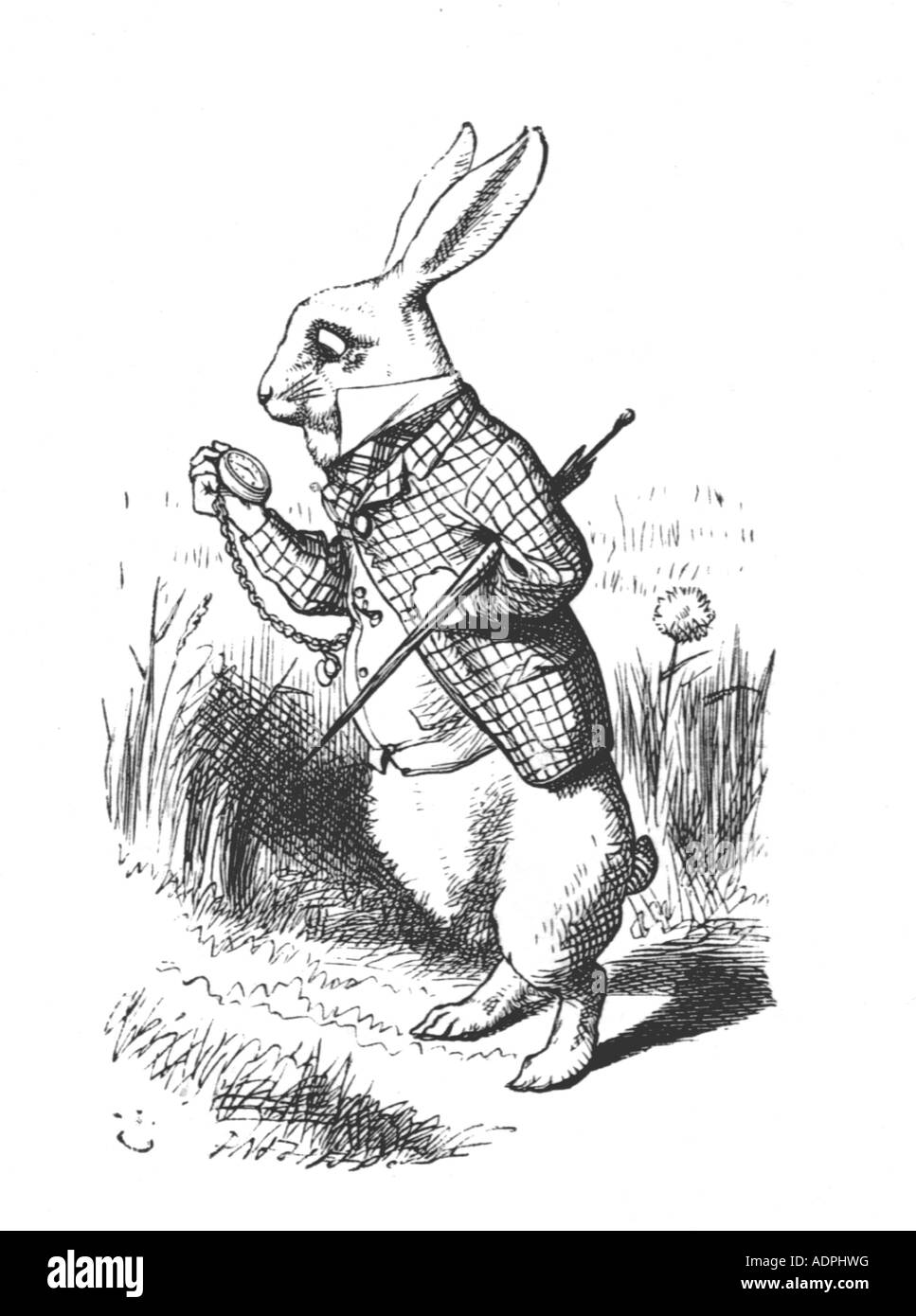 Illustration des Weißen Kaninchens in Lewis Carrolls Alice im Wunderland von John Tenniel. Der Hase schaut auf Taschenuhr Stockfoto