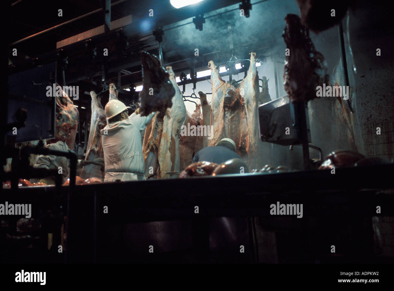 Zwei männliche Arbeiter in der Meatpacking-Fabrik Stockfoto