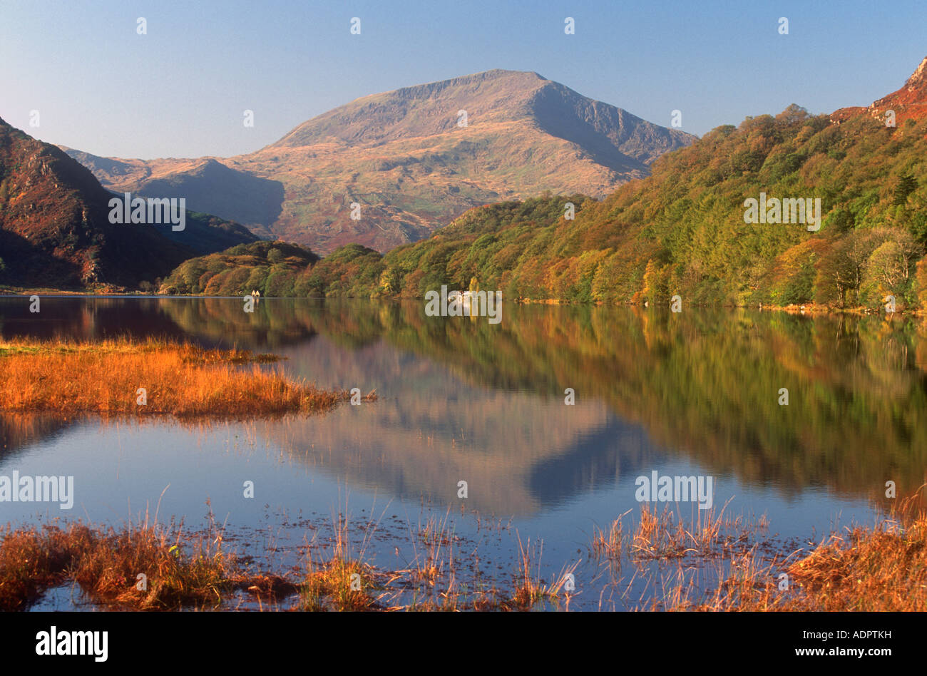 MOEL Hebog und Llyn Dinas Beddgelert Snowdonia Gwynedd North West Wales UK Stockfoto