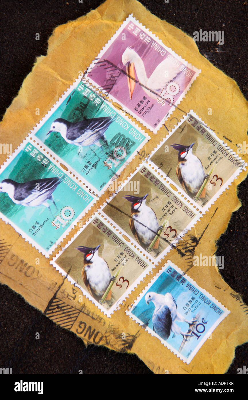 Closeup zerrissenen Fragment des Umschlags mit Gedenk Vogel Briefmarken aus China Stockfoto