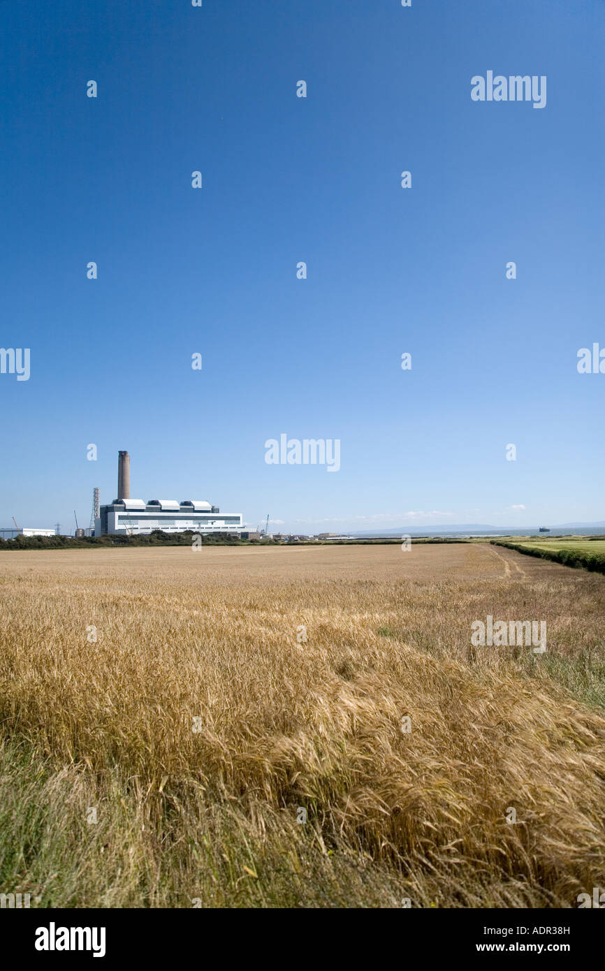 Feld der reifen Gerste mit einem Kraftwerk in der Hintergrund vor einem klaren blauen Himmel Stockfoto