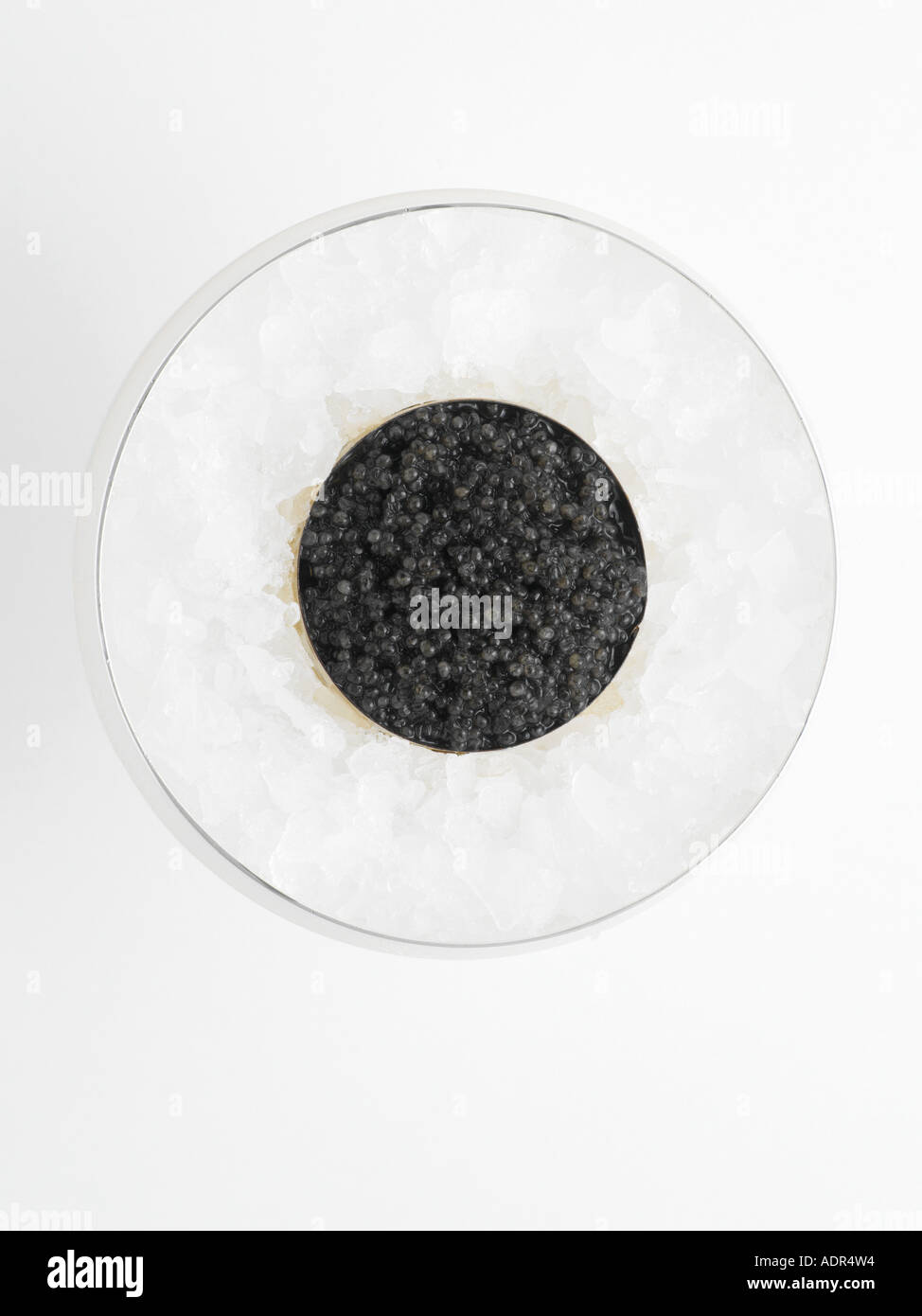Kaviar auf crushed-ice Stockfoto