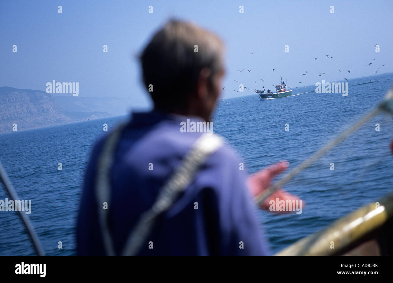 Makrele Scomber Scombrus Fischer schleppen in einem Treibnetz in einer Fischerei auf dem Ärmelkanal Hastings UK Stockfoto